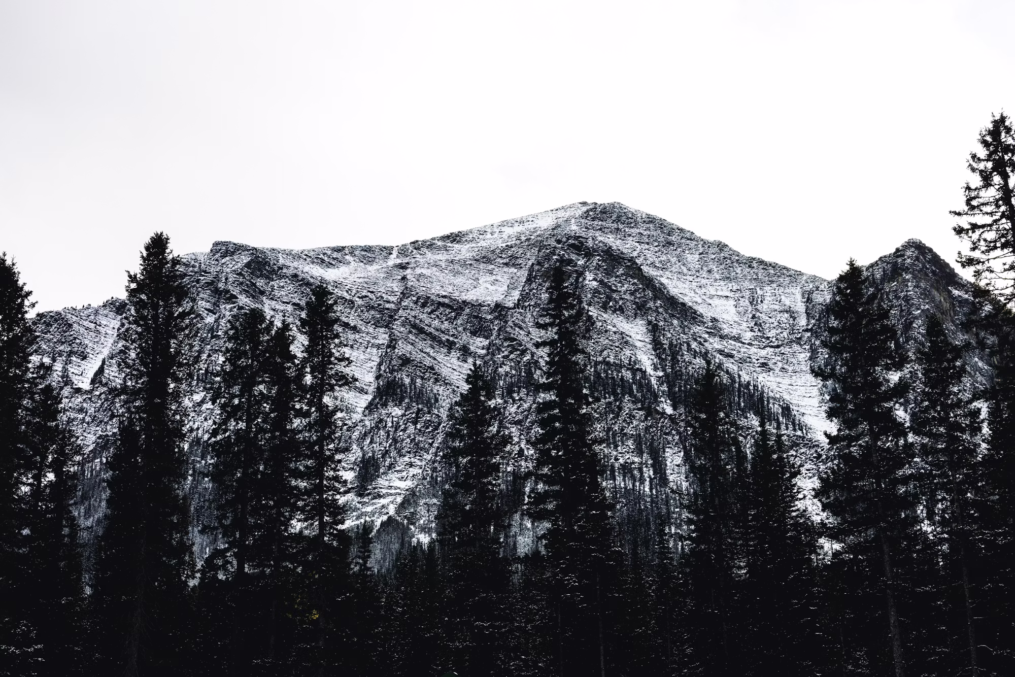 Trailblazirane pustolovščine: odkrivanje najboljših pohodniških poti po svetu  Bled